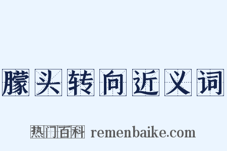 朦头转向近义词是什么意思的图片